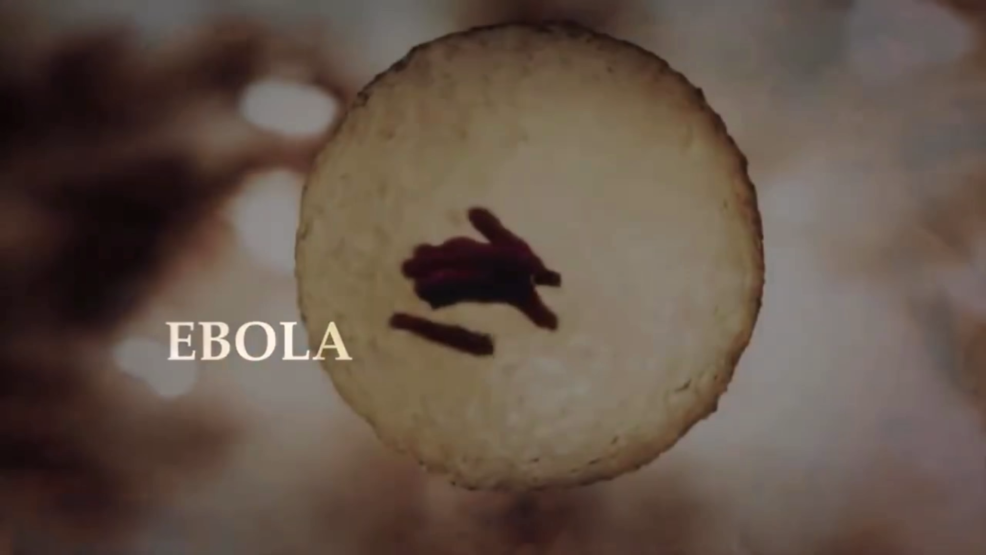 Let’s Play EBOLA (Steam)
